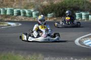 DSC (1182)